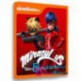 کارتون انیمیشن فصل اول قصه های معجزه آسا از لیدی باگ و گربه نوآر Miraculous Tales of Ladybug and Cat Noir Season 1 2015
