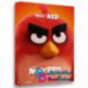کارتون انیمیشن پرندگان خشمگین 2016 با دوبله فارسی The Angry Birds Movie 2016