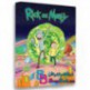 کارتون انیمیشن سریالی ریک و مورتی 2017 Rick and Morty 2013