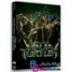 کارتون انیمیشن سینمایی لاک پشت های نینجا ۲۰۱۴ Teenage Mutant Ninja Turtles 2014