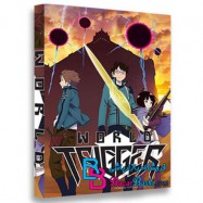 کارتون انیمیشن پاشنه‌ی جهان World Trigger