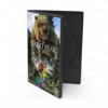 کارتون انیمیشن خرس بزرگ با دوبله فارسی The Great Bear 2011