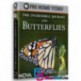 مستند سفر باورنکردنی پروانه ها The Incredible Journey of the Butterflies 2009 BluRay