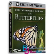 مستند سفر باورنکردنی پروانه ها The Incredible Journey of the Butterflies 2009 BluRay