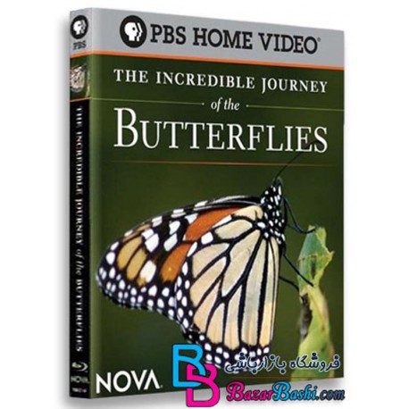 مستند سفر باورنکردنی پروانه ها The Incredible Journey of the Butterflies 2009 BluRay