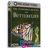 مستند سفر باورنکردنی پروانه ها The Incredible Journey of the Butterflies 2009 BluRay