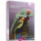 مستند سه بعدی هیولاهای کوچک Little Monster 3D 2013 BluRay