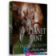مستند سیاره مورچه زندگی در اجتماع Planet Ant Life Inside the Colony 2013