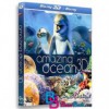 مستند اقیانوس شگفت انگیز Amazing Ocean 2012 BluRay