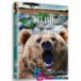 مستند برخورد خرس ها و گرگ ها Clash Encounters of Bears and Wolves