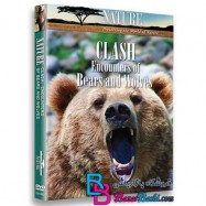 مستند برخورد خرس ها و گرگ ها Clash Encounters of Bears and Wolves