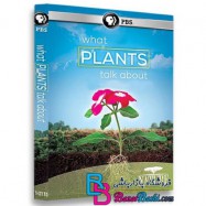 مستند گیاهان چه می گویند What Plants Talk About 2013