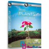 مستند گیاهان چه می گویند What Plants Talk About 2013