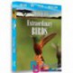 مستند پرندگان خارق العاده Extraordinary Birds BluRay