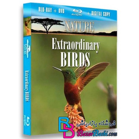 مستند پرندگان خارق العاده Extraordinary Birds BluRay