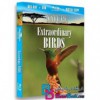 مستند پرندگان خارق العاده Extraordinary Birds BluRay