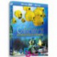 مستند شگفتی صخره های مرجانی جهان اسرارآمیز زیر آب Fascination Coral Reef 2012 BluRay