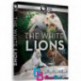 مستند شیرهای سفید The White Lions 2012 HD