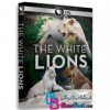 مستند شیرهای سفید The White Lions 2012 HD