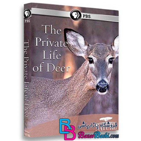 مستند زندگی خصوصی گوزن The Private Life of Deer 2013 HD