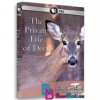 مستند زندگی خصوصی گوزن The Private Life of Deer 2013 HD