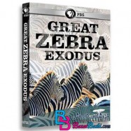 مستند مهاجرت بزرگ گورخرها Great Zebra Exodus 2013 HD