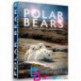 مستند خرس های قطبی Polar Bears 2012 A Summer Odyssey