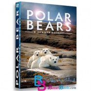 مستند خرس های قطبی Polar Bears 2012 A Summer Odyssey
