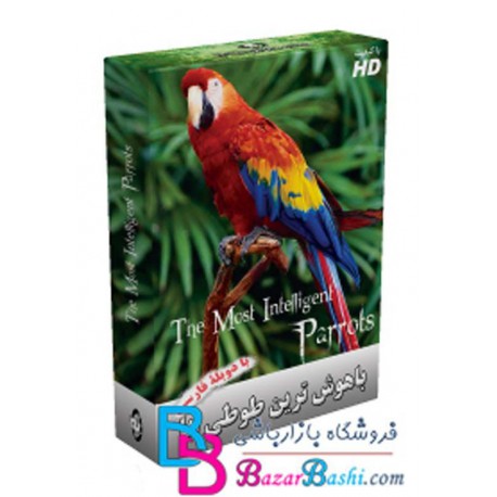 باهوشترین طوطی ها