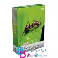مورچه ها