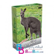 کانگورو