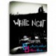 بازی White Night برای PC