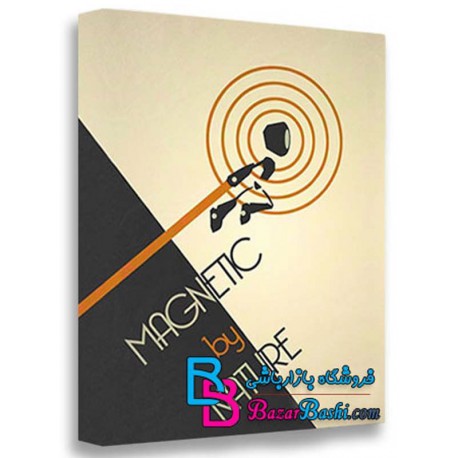 بازی Magnetic By Nature برای PC