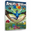 بازی Rovio Angry Birds Rio v2.0.0 برای PC