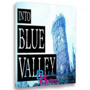 بازی Into Blue Valley Remastered برای PC
