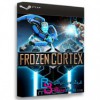 بازی  Frozen Cortex برای PC